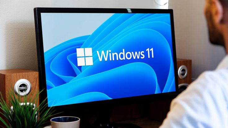 Windows 11 Pro